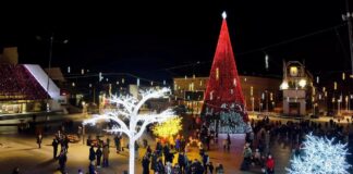 Избрана фирмата за Новогодишно украсување на Струмица – на тендерот се јавила само една а во петок ќе блесне елката на плоштадот