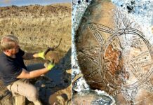 Во наколната населба во Дојран откриен праисториски сад декориран со сонце – ова е уникатен наод вели археологот Рујак