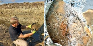 Во наколната населба во Дојран откриен праисториски сад декориран со сонце – ова е уникатен наод вели археологот Рујак