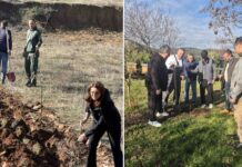 Членови на Ротари клуб Струмица за почиста средина садеа јавори над градот – садници поделија и на пчелари (фото)