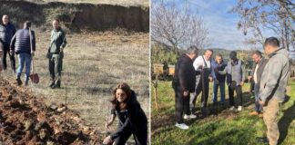 Членови на Ротари клуб Струмица за почиста средина садеа јавори над градот – садници поделија и на пчелари (фото)