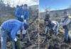 Пошумени 60 хектари опожарена површина кај Смоквица гевгелиско – засадени над 100 илјади садници чемперс и црн бор (ФОТО)