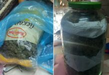 Претреси во валандовско Пирава и Јосифово, пронајдени и одземени околу два килограми дрога а четири лица се приведени