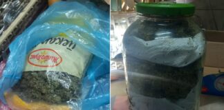 Претреси во валандовско Пирава и Јосифово, пронајдени и одземени околу два килограми дрога а четири лица се приведени