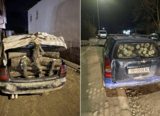 Струмичката полиција денеска во Ангелци и Василево заплени пет запрежни и две моторни возила полни со огревно дрво