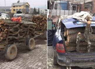 Од почетокот на годинава фатени над 20 дрвокрадци во струмичко-радовишкиот регион