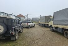 Полициска акција во струмичко – со шлепер, камиони и комбиња се запленува марихуана кај Сушица (видео)