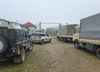 Полициска акција во атарот на струмичко Сушица со десетици камиони и комбиња се запленува марихуана