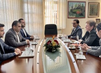 Соработка во економијата, трговијата и инвестициите – средба на градоначалникот на Струмица Јанков и германската амбасадорка во земјава Дрекслер