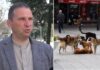 Ни фали одговорно сопствеништво вели Михаилов директор на „Стационар Лана“ каде лани 40% од заловените кучиња биле вдомени (ВИДЕО)