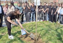 Вакви трагедии не смеат да се повторат – средношколци во Струмица засадија јавор за 63-те жртви во пожарот во Кочани (ВИДЕО)