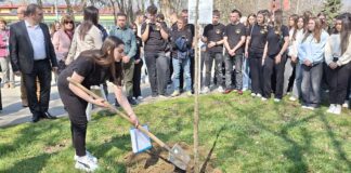 Вакви трагедии не смеат да се повторат – средношколци во Струмица засадија јавор за 63-те жртви во пожарот во Кочани (ВИДЕО)