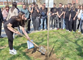 Вакви трагедии не смеат да се повторат – средношколци во Струмица засадија јавор за 63-те жртви во пожарот во Кочани (ВИДЕО)