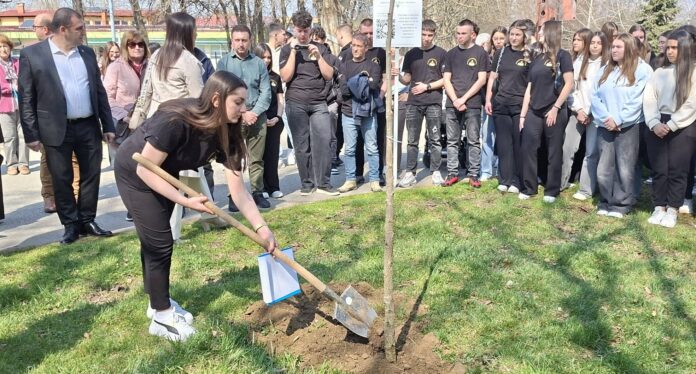 UCENICI OD STRUMICA ZASADIJA DRVCE ZA ZRTVITE OD KOCANI