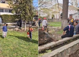 Жители на струмичко Дабиље сами реализираа еко акција и го чистеа и уредуваа центарот на селото