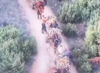 Михаилов: Фатена група со над 20 лица од струмичко Баница кои превезуваа нежигосани огревни дрва и без документи