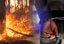 Лишен од слобода радовишанец – се сомничи дека предизвикал пожар на планината Плачковица во кој била зафатена и викенд куќа