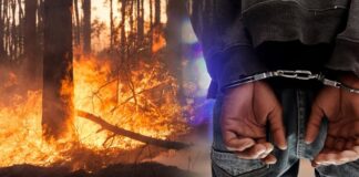 Лишен од слобода радовишанец – се сомничи дека предизвикал пожар на планината Плачковица во кој била зафатена и викенд куќа