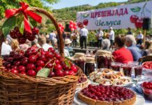 Утре Црешијада во струмичко Вељуса – ќе има музика, забава но и многу специјалитети со цреши !