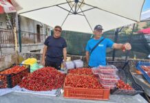 Црешијада во струмичко Вељуса за да привлече повеќе откупувачи но и можност да се произведува слатко и сок од цреши !