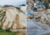 Државата нема решение за пластиката од земјоделството која завршува на депонии или се пали при што се загадува природата