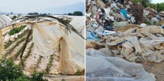 Државата нема решение за пластиката од земјоделството која завршува на депонии или се пали при што се загадува природата