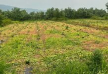 Жителите на Габрово кои имаат штети од невремето до први јули да поднесат Барање за проценка до комисијата при Општина Струмица