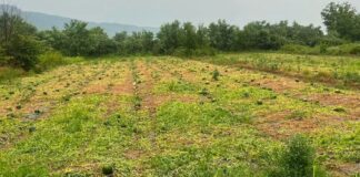 Жителите на Габрово кои имаат штети од невремето до први јули да поднесат Барање за проценка до комисијата при Општина Струмица