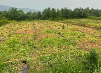 Жителите на Габрово кои имаат штети од невремето до први јули да поднесат Барање за проценка до комисијата при Општина Струмица