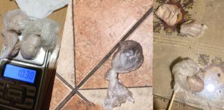Приведен струмичанец – во неговиот дом полицијата пронајде пакувања со дрога