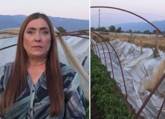 СДСМ: Итно да се обештетат земјоделците – невремето ги уништи струмичките посеви а Владата не презема ништо (ВИДЕО)