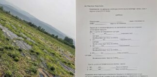 Ќе се врши проценка на штетите во подбеласичкиот регион во Општина Ново Село по невремето со град