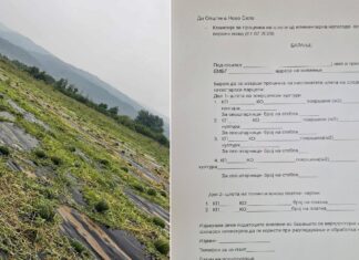 Ќе се врши проценка на штетите во подбеласичкиот регион во Општина Ново Село по невремето со град
