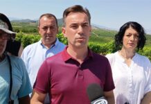 Новиот министер за земјоделство Серафимовски ги објави цените за откуп на винските сорти грозје смедеревка и вранец