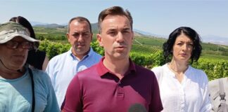 Новиот министер за земјоделство Серафимовски ги објави цените за откуп на винските сорти грозје смедеревка и вранец