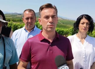 Новиот министер за земјоделство Серафимовски ги објави цените за откуп на винските сорти грозје смедеревка и вранец