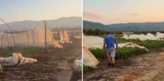 Сите кои претрпеа штети од невремето со силен ветар во струмичко може да пријават – општините ги објавија роковите кога