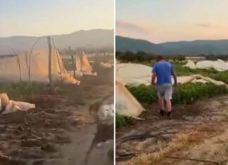 Сите кои претрпеа штети од невремето со силен ветар во струмичко може да пријават – општините ги објавија роковите кога