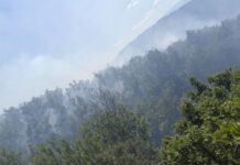 Два ер трактори на ДЗС полетаа кон Валандово за да од воздух го гаснат пожарот кај Пирин Чешма