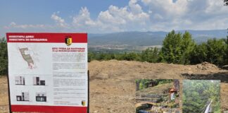 Општина Ново Село по пат на јавно наддавање продава парцели за викендици кај Смоларе и Мокрино во близина на водопадите изворите