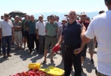 Левица со поддршка за струмичките земјоделци кои бараат повисоки откупни цени за пиперката