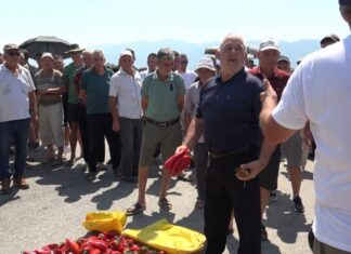 Левица со поддршка за струмичките земјоделци кои бараат повисоки откупни цени за пиперката