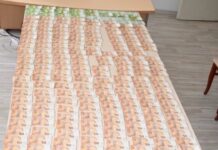 Лишено од слобода лице од радовишко Бучим, при преглед на возило пронајдени 14.440 евра