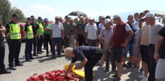 Освен повисоки откупни цени, државата да ги исплати и субвенциите за ајварката од лани, побараа струмичките земјоделци на протестот кај Робово