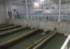 Филтер станицата за вода во Струмица работи со еден озонатор, до крајот на годината ќе се монтира уште еден а ќе се врши и замена на цевоводниот систем