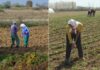 Ќе се даваат грантови по 10 илјади евра на земјоделци за одржливо производство и жени земјоделки за почнување свој бизнис (ВИДЕО)