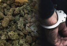 Претрес во Струмица, пронајдена дрога, лишено од слобода едно лице