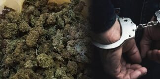 Претрес во Струмица, пронајдена дрога, лишено од слобода едно лице
