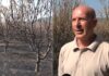 Околу 400 декари со сливи, ореви и вишни изгореа во големиот пожар кај Струмица – сопствениците бараат помош од државата (ВИДЕО)
