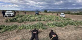 Притвор за двете лица кои на месноста “Матник“ кај Секирник во мај годинава засеале и одгледувале марихуана